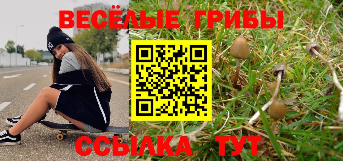 Галлюциногенные грибы прущие грибы Симферополь