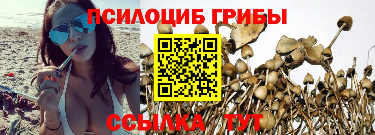 Псилоцибиновые грибы ЛСД  продажа наркотиков  Симферополь  Вход с VPN 